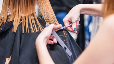 The Ultimate Guide to Choosing the Perfect Professional Hair Cutting Shears